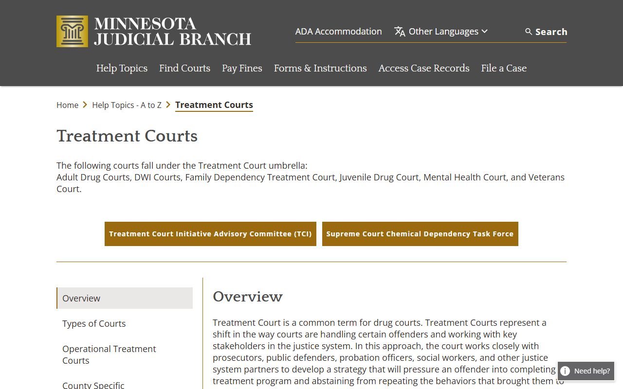 Minnesota Judicial Branch treatment court overview